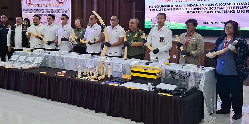 Bareskrim Tangkap 4 Penjual Pipa Rokok dan Patung Ukiran dari Gading Gajah Ilegal