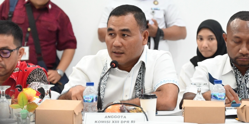 Ini Catatan Kritis Edison Sitorus soal RUU Statistik