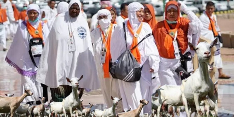 Saatnya Dam Haji di Negeri Sendiri