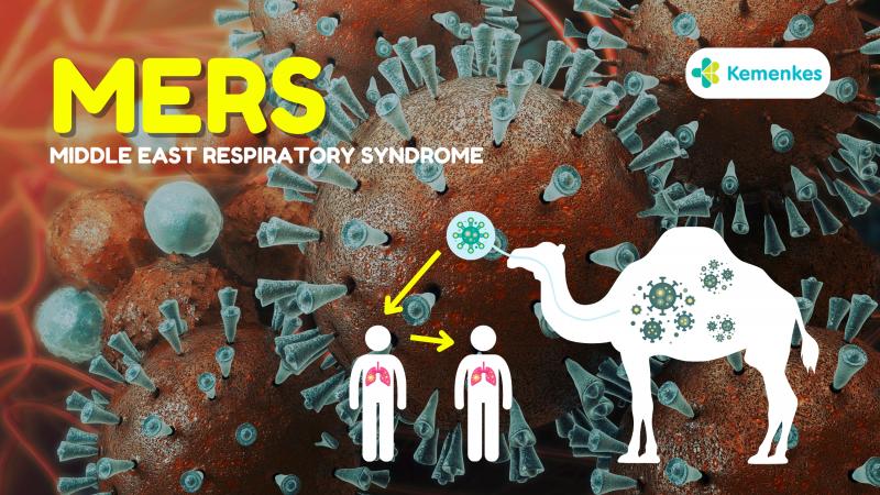 Virus MERS-CoV Merebak, Komisi IX DPR Imbau Jemaah Haji Disiplin Jaga Kebersihan