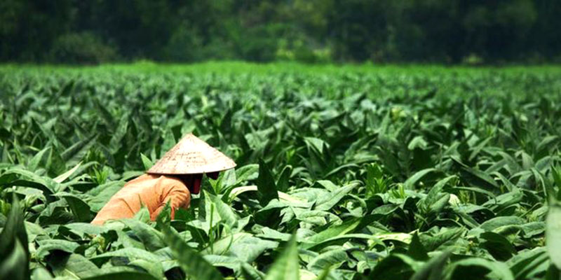 APTI Sesalkan Penyusunan Rancangan Peraturan tentang Kesehatan Tak Libatkan Seluruh Elemen