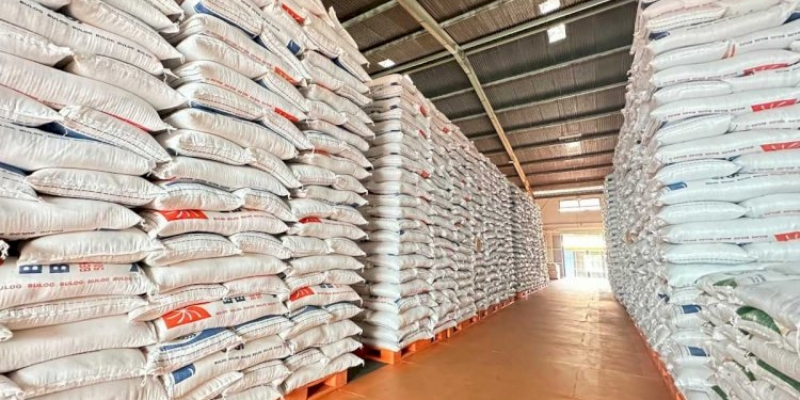 Pemerintah Berencana Kirim Beras untuk Misi Kemanusiaan Global