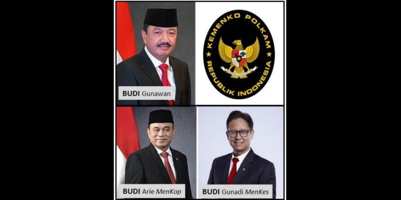 Budi Arie dan Budi Gunadi Tumbuh jadi Pohon Bermasalah