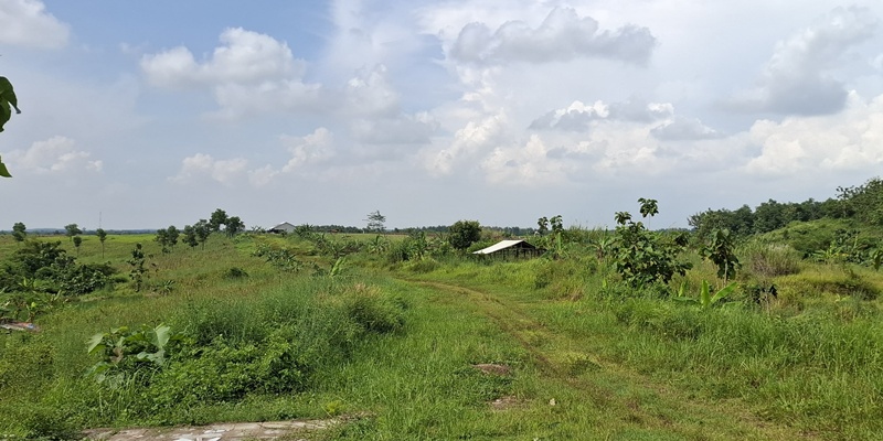 Perusahaan Subkontraktor Buka Suara soal Polemik Proyek PLTS Indramayu