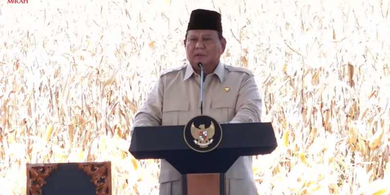 Panen Raya di Kalbar, Prabowo Bangga Produksi Jagung Mendekati 9 Juta Ton