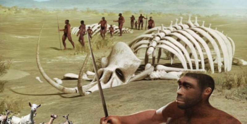 Homo Erectus Purba di Laut Madura
