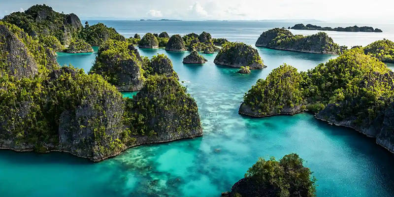 Hipmi Dukung Pemerintah Cabut Empat IUP di Raja Ampat