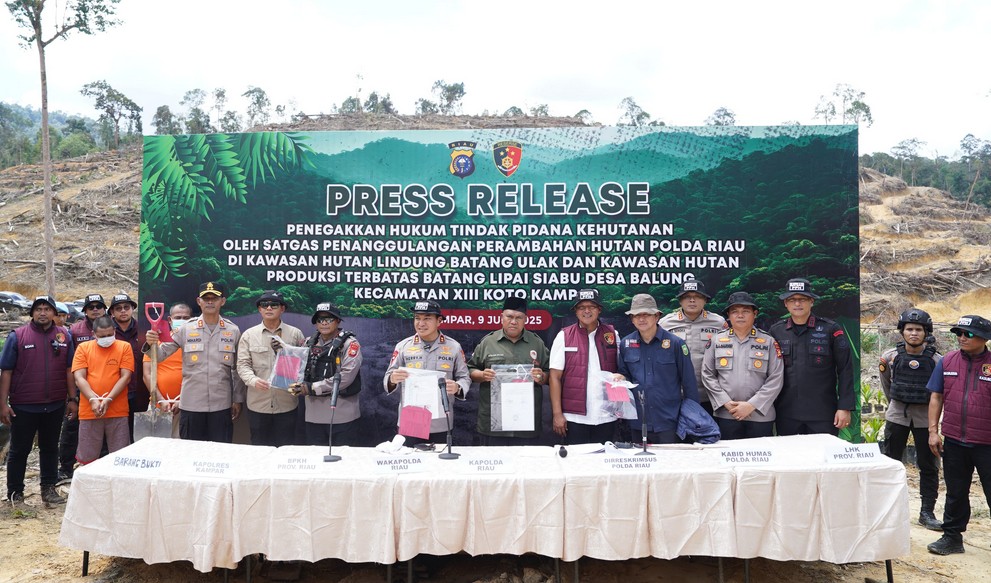 Polisi Bongkar Perambahan Hutan Lindung Si Abu untuk Lahan Sawit