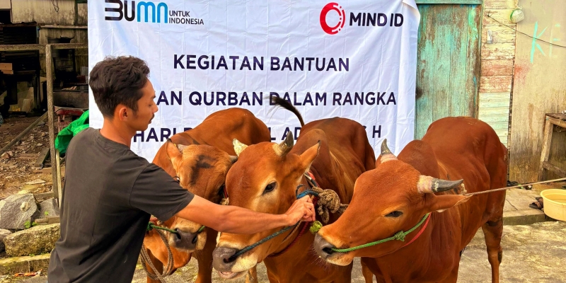 Dukung Perbaikan Gizi, Grup MIND ID Salurkan 732 Hewan Kurban
