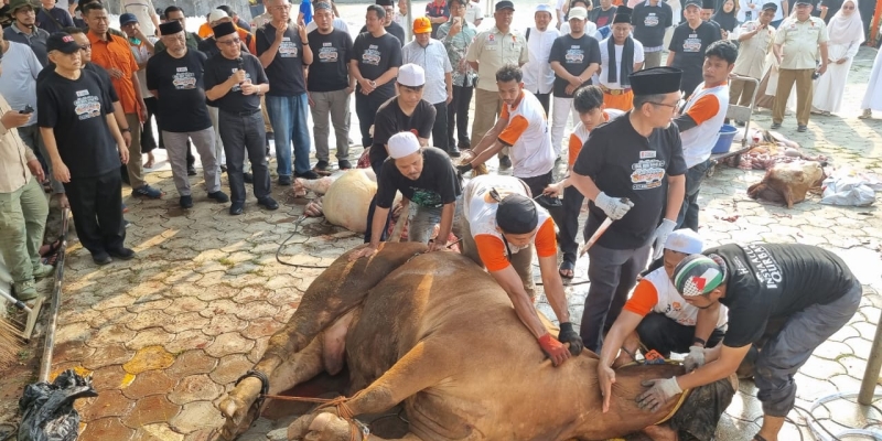 PKS Persembahkan Ribuan Sapi dan Kambing untuk 2,3 Juta Paket Kurban