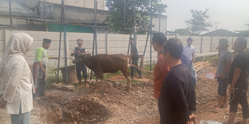 Kegiatan kurban PT. PP Tirta Tanah Merah/Ist