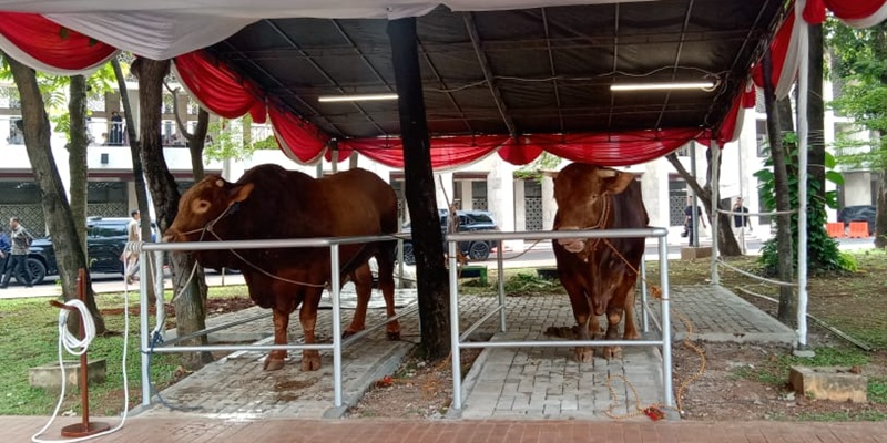 Dari Kurban ke Kesejahteraan: Menggali Dimensi Ekonomi Sosial Iduladha