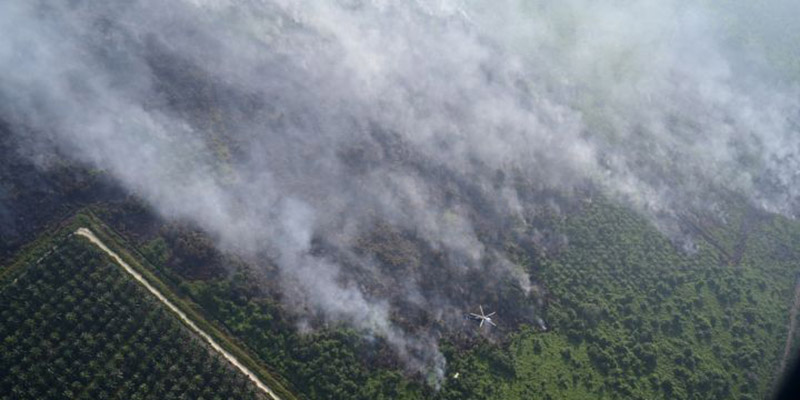 BMKG Temukan 57 Titik Panas di Sejumlah Wilayah Aceh
