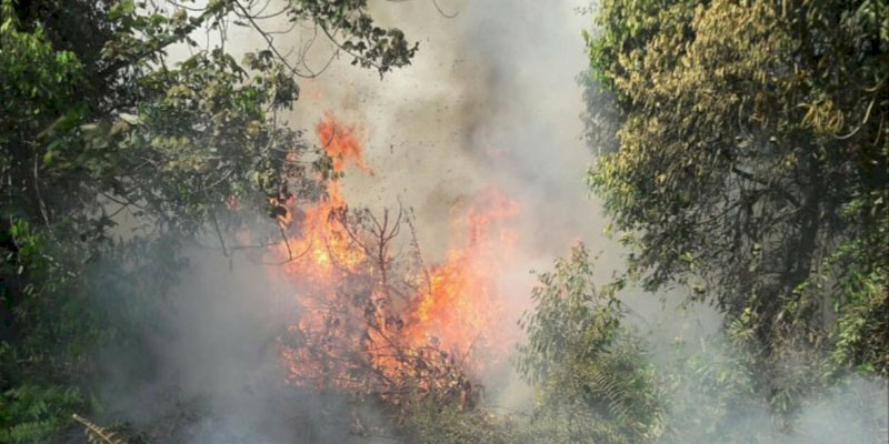 Warga Aceh Selatan Diimbau Tidak Buka Lahan dengan cara Membakar