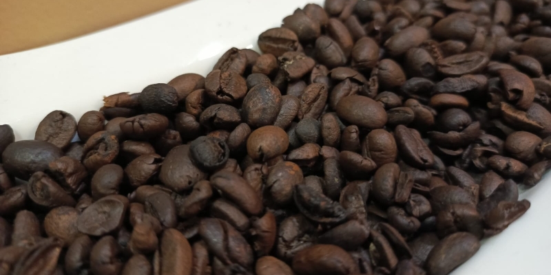 Ekspor Kopi Melonjak, Lampung Penyumbang Terbesar