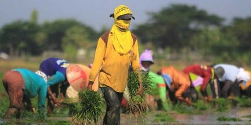 Nasib Buruh Kasar Harian Lepas
