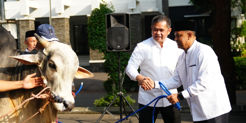 Kepala Staf Angkatan Darat (KSAD) Jenderal Maruli Simanjuntak saat menyerahkan hewan kurban Idul Adha ke panitia pada Jumat, 6 Juni 2025./Dispenad