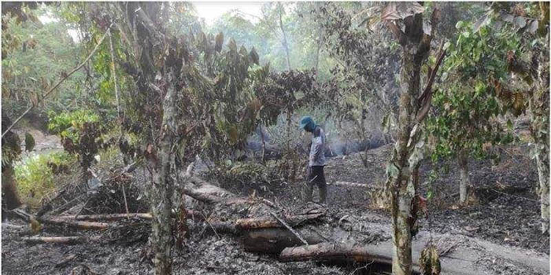 Masuk Musim Kemarau, Empat Kabupaten di Sumsel Waspada Karhutla