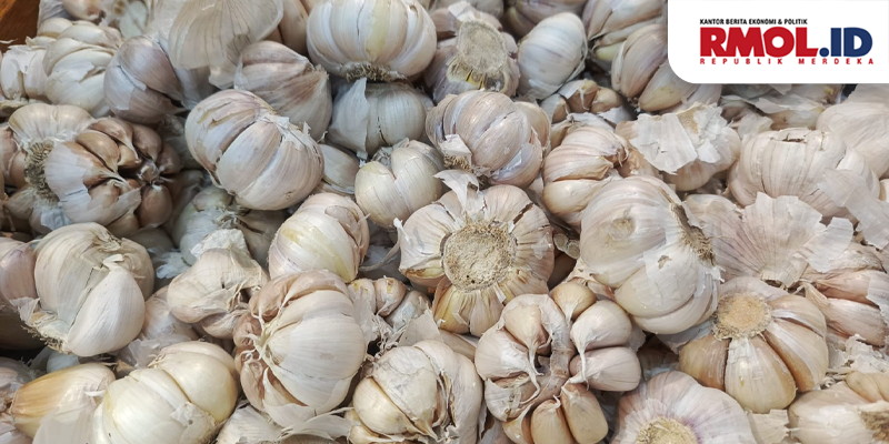 Realisasi Impor Bawang Putih Capai Lebih dari 35 Persen