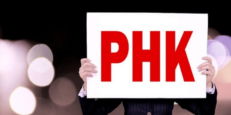 LBH Saburmusi: Pembentukan Satgas PHK cuma Bersifat Simbolik