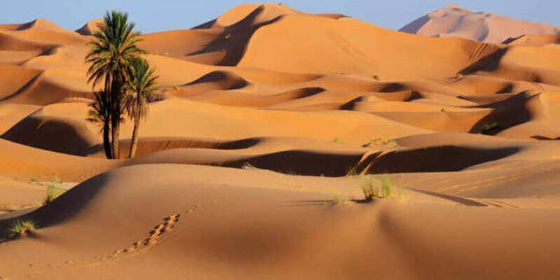 Nekat Masuk Makkah Lewat Gurun, Satu WNI Tewas Kehausan