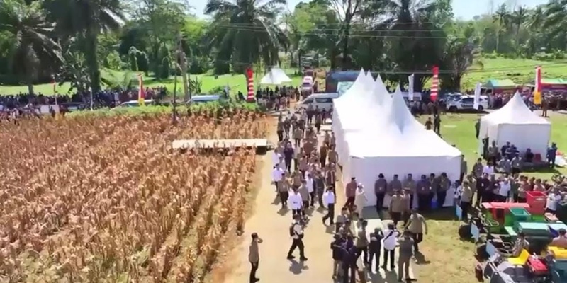 Polri Ekspor Ribuan Ton Jagung Plus Bangun Gudang Penyimpanan