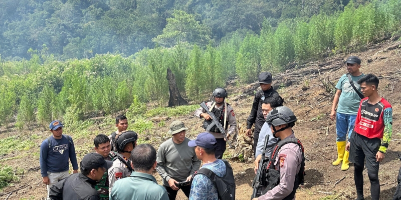 Bareskrim Ungkap 25 Hektare Ladang Ganja di Aceh