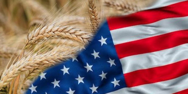 Panen Gagal, Harga Gandum Berjangka Naik