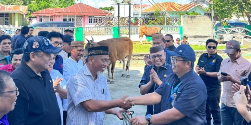 Iduladha 1446 H, Pelindo Salurkan 924 Hewan Kurban