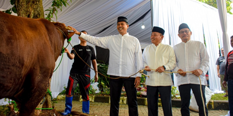 10.345 Hewan Kurban Disebar ke Daerah 3T