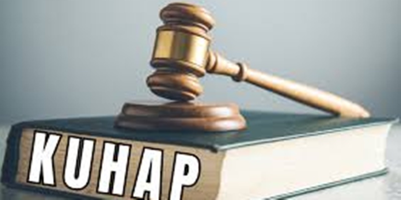 DPR Harus Segera Undangkan KUHAP Atur Cyber Crime