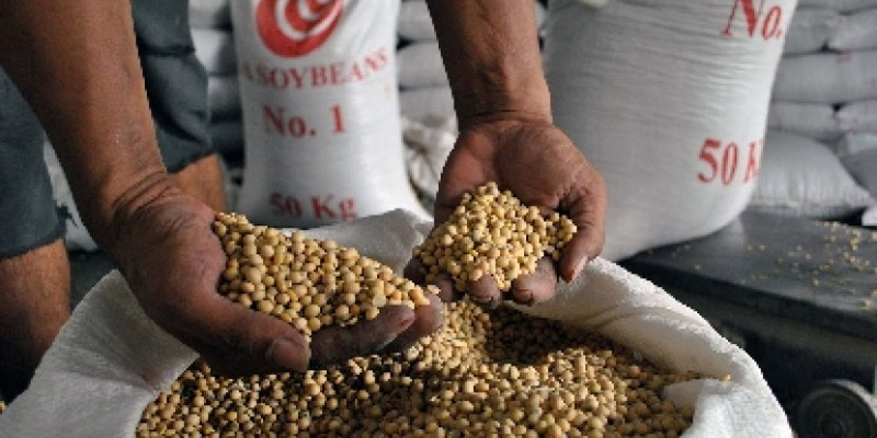 Tarif Ditekan, Petani Lokal Terancam Produk AS