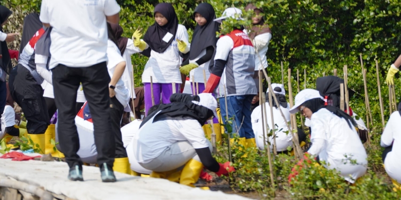 Pertamina dan Siswa SD Tanam Puluhan Ribu Mangrove Tumbuhkan Cinta Lingkungan