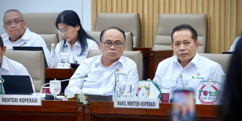 Kemenkop dan DPR RI Sepakati Bangun Basis Data Desa Akurat