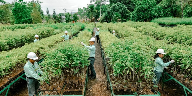 Dukung Swasembada Pangan, MIND ID Aktif Berdayakan Petani Lokal