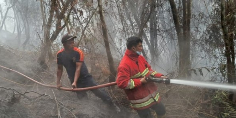 Kebakaran Lahan di Humbahas Renggut Nyawa Wanita Tani