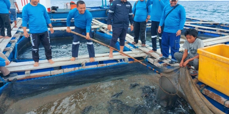 MIND ID Perkuat Pendampingan Budidaya Ikan Laut