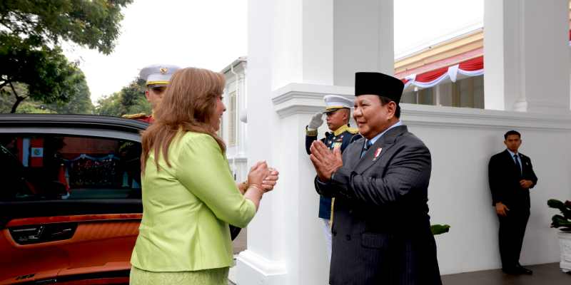 Prabowo Apresiasi Dukungan Peru untuk Palestina, Sepakat Dorong Solusi Dua Negara