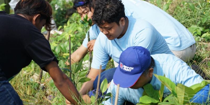 Jaga Ekosistem Pesisir Semarang Lewat Penanaman 1.500 Mangrove