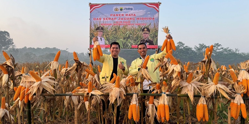 Pemuda Katolik Cianjur Dukung Swasembada Pangan Lewat Panen Raya Jagung