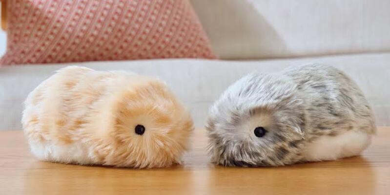 Lagi Tren di Jepang, Hewan Peliharaan Robot AI Berkepribadian Unik