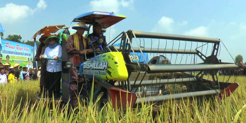 Lewat Petani Mitra Adhyaksa, Kejati Lampung Target Panen 28 Ribu Ton Gabah