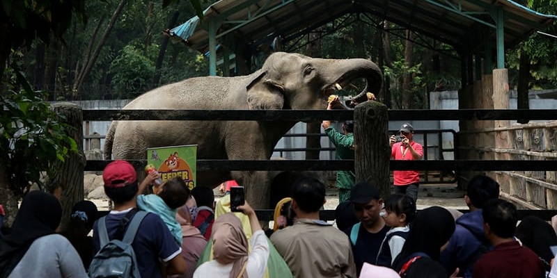 Rencana Ragunan Buka hingga Malam Didukung Dewan Kebon Sirih
