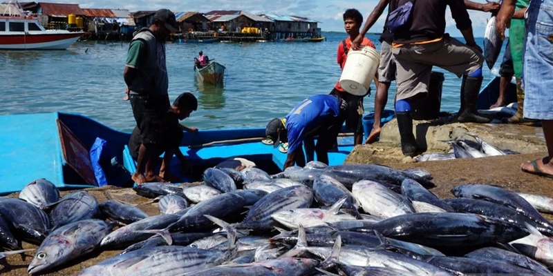 Ekonomi Perikanan Terkena Dampak Besar Tarif Trump