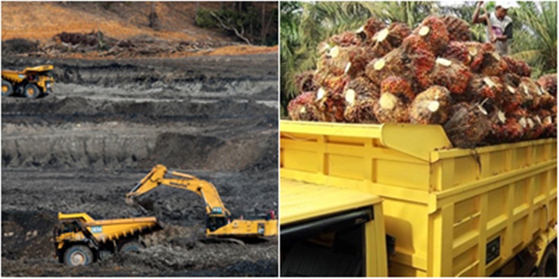 Pemerintah Jangan Jor-joran Beri Izin Tambang Nikel dan Sawit