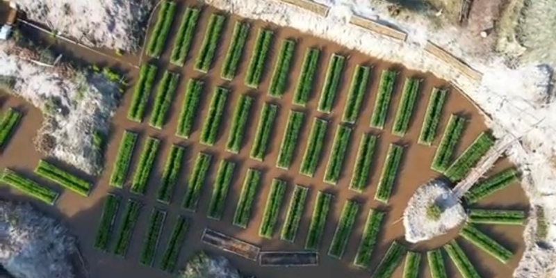 PFmuda Pertamina Kembangkan 110 Inovasi Perkuat Ketahanan Energi