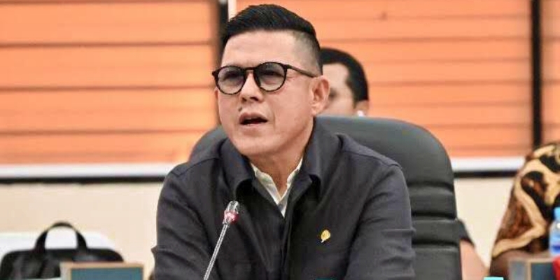 Komisi III DPR Keberatan jika Noel Diberi Amnesti