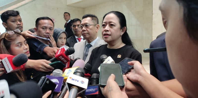 Puan Minta Aparat Keamanan Tidak Bertindak Berlebihan Ketika Kawal Demo