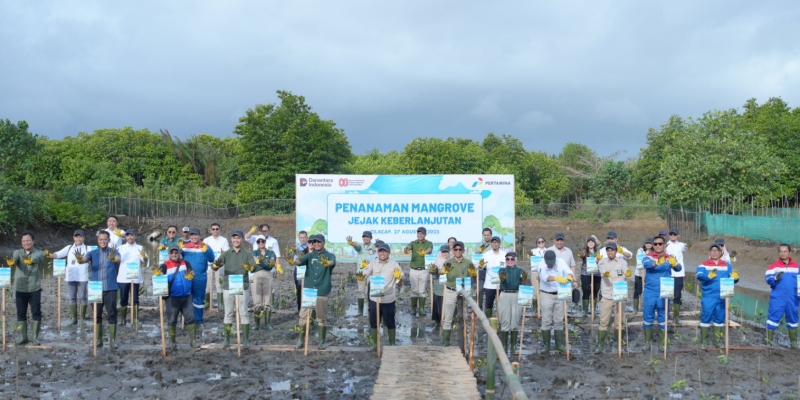 Pertamina Tanam 800 Pohon Mangrove di Cilacap