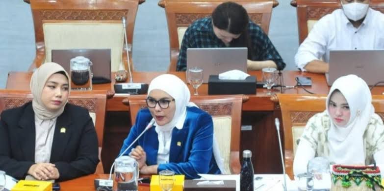 Legislator PAN Apresiasi Pidato Prabowo Sikapi Geopolitik Global